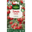 Image de TOMATE CERISE VL 0 - Le sachet