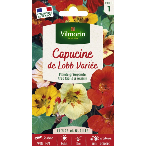 Image de CAPUCINE GRIMPANTE LOBB MIX VL 1 - Le sachet