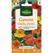 Image de CAPUCINE VALINA MIX VL3 - Le sachet