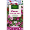 Image de COSMOS SENSATION MIX VL 1 - Le sachet