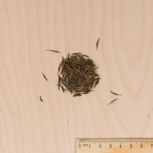 Image de COSMOS FENG SHUI VL 3 - Le sachet