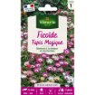 Image de FICOIDE TAPIS MAGIQUE VL 1 - Le sachet