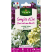 Image de GIROFLEE QUAR.GDE FLEUR BLEUE VL 1 - Le sachet