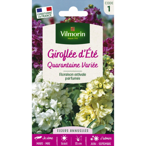 Image de GIROFLEE QUAR.GDE FLEUR BLEUE VL 1 - Le sachet