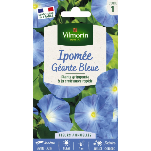 Image de IPOMEE GRDE FLEUR BLEUE VL 1 - Le sachet