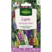 Image de LUPIN DE RUSSELL MIX VL 1 - Le sachet