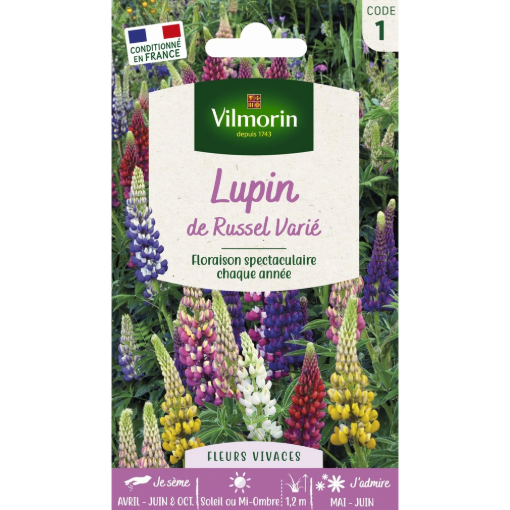 Image de LUPIN DE RUSSELL MIX VL 1 - Le sachet