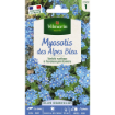 Image de MYOSOTIS DES ALPES BLEU VL 1 - Le sachet