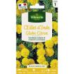 Image de OEILLET INDE GLOBE CITRON VL 1 - Le sachet