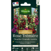 Image de ROSE TREMIERE DBL GDE MIX VL 2 - Le sachet