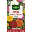 Image de ZINNIA GT CALIFORNIE MIX VL 1 - Le sachet