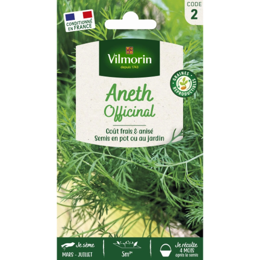 Image de ANETH OFFICINAL VL 2 - Le sachet