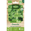 Image de BASILIC GENOVESE BIO VL 2 - Le sachet
