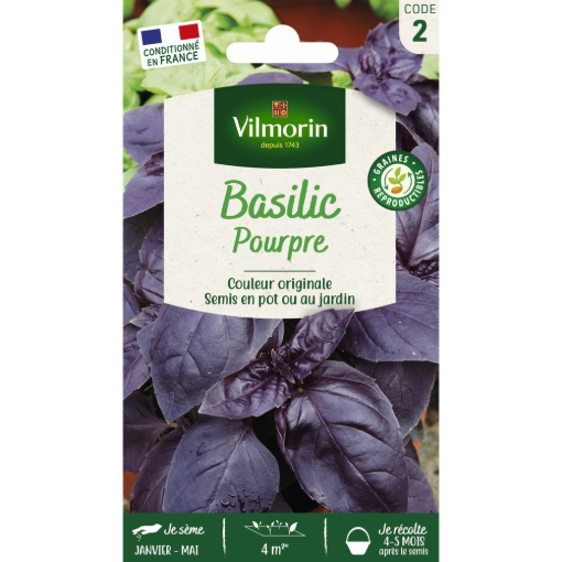 Image de BASILIC POURPRE VL 2 - Le sachet