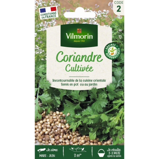 Image de CORIANDRE CULTIVEE VL 2 - Le sachet