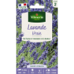 Image de LAVANDE VRAIE VL 2 - Le sachet
