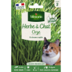 Image de HERBE à CHAT GM VL 2 - Le sachet