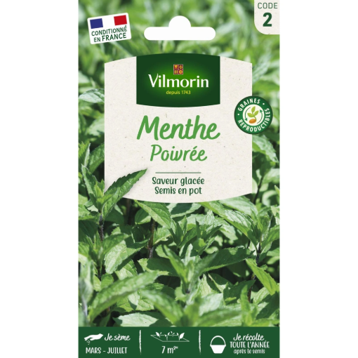 Image de MENTHE POIVREE VL 2 - Le sachet
