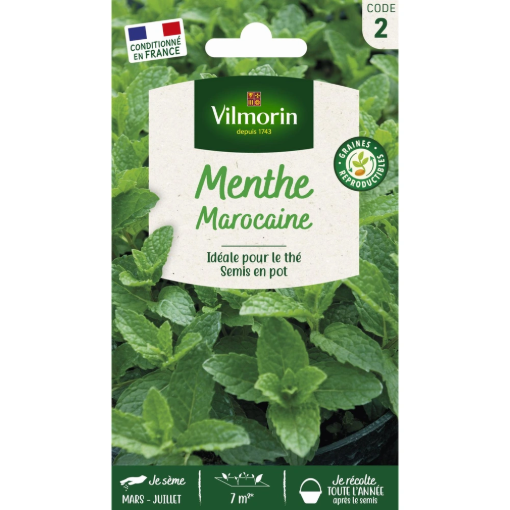 Image de MENTHE MAROCAINE VL 2 - Le sachet