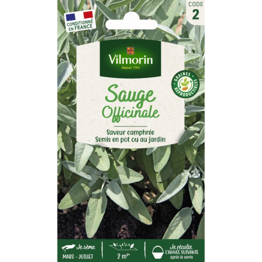 Image de SAUGE OFFICINALE VL 2 - Le sachet