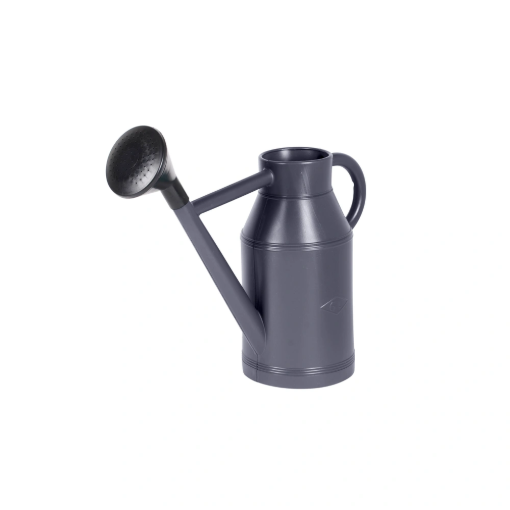 Image de Arrosoir 6 litres rond  Lyonnais + pomme Gris