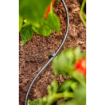 Image de Tuyau Ø 4,6 mm Micro-Drip-System, 50m - Unité
