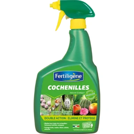 Image de COCHENILLES PAL SCOTTS - 800ML AMM 2110149