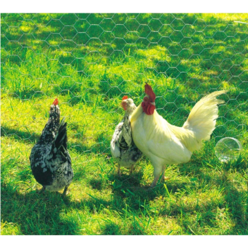 Image de Bâche LDPE 120g/m2 - 6m x 5m - L'unité