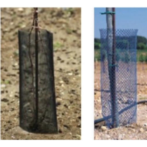 Image de Manchon dissuasion lapin - Diam 14 cm - H50 - Paquet de 100