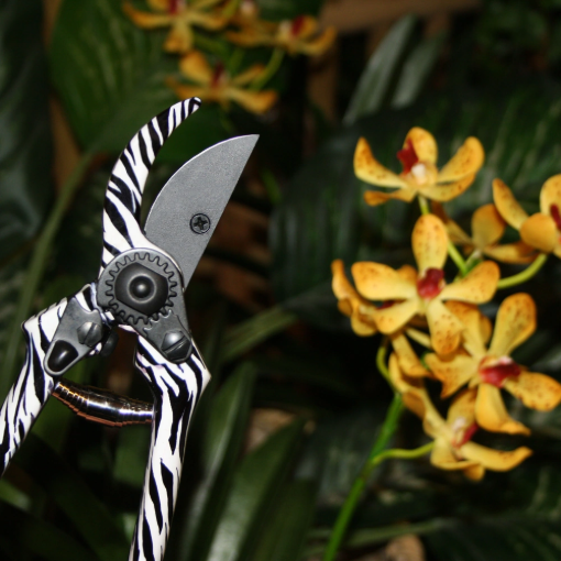 Image de PETIT SECATEUR LEYAT LAME PTFE - Léopard - Unité