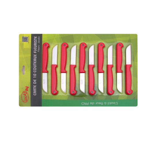 Image de Lot de 10 couteaux - L'unité