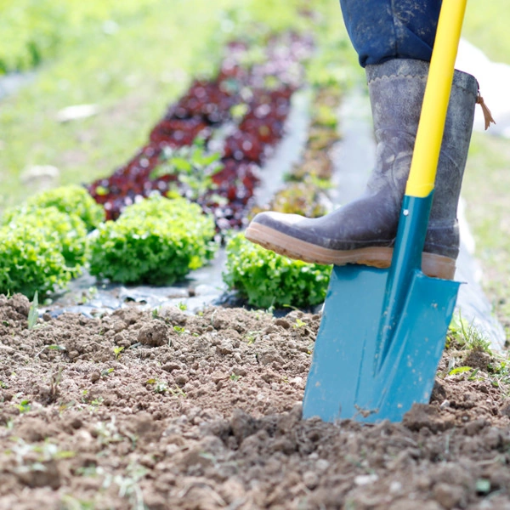 Image de Bêche DUO PRO 28 cm - EM NOVA POMME - L'unité