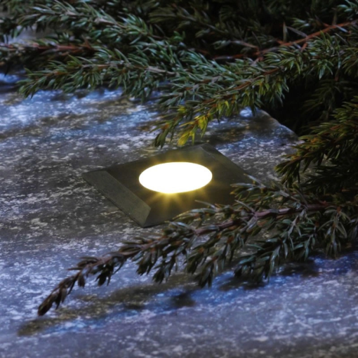 Image de ENCASTRABLE ATRIA INOX blanc chaud LED 0.5W - Unité