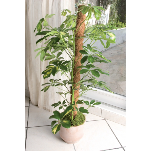 Image de Tuteur COCO - D45 X 1M50 - Unité