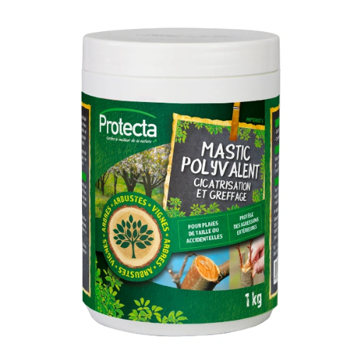 Image de MASTIC à GREFFER ET à CICATRISER - BOITE 1 KG