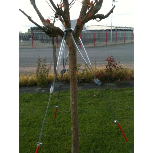 Image de Kit haubanage 3 points pour arbre de 7m00 à 11m00 - 30/40 à 60/70 -  Le Kit