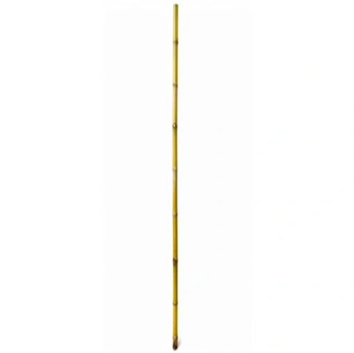 Image de Bambou de 210 cm - 16/18 mm - BALLE de 100