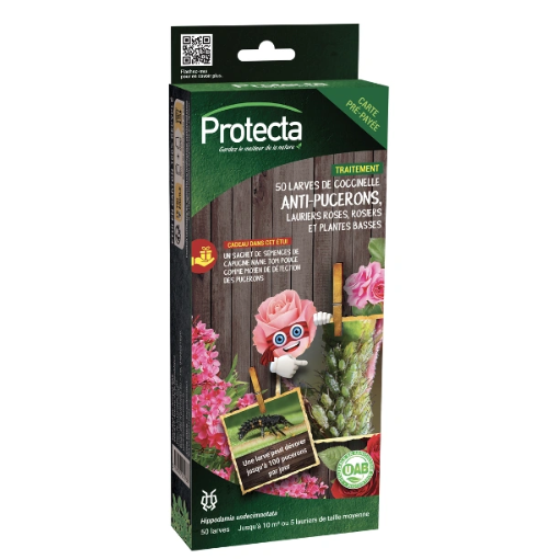 Image de ANTI-PUCERONS - 50 Larves de coccinelle - Rosiers, lauriers roses, plantes basse