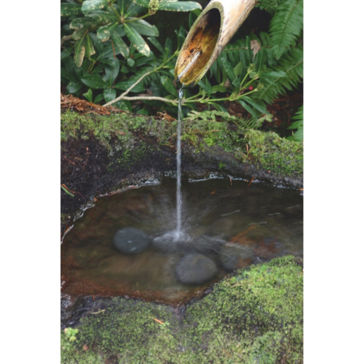 Image de Bambou de décoration CELLO 240 cm - 100/120 mm