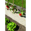 Image de Paillis Biodégradable Chanvrelin 500g/m2   0m50 x 5m