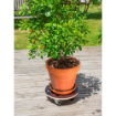 Image de SUPPORT ROULANT BOIS TRES RESISTANT - 200 KG - 40 cm ROND - Unité