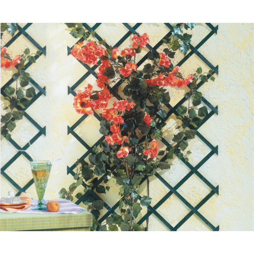 Image de Treillis Extensible BOIS - VERT - 1m x 2m - Unité