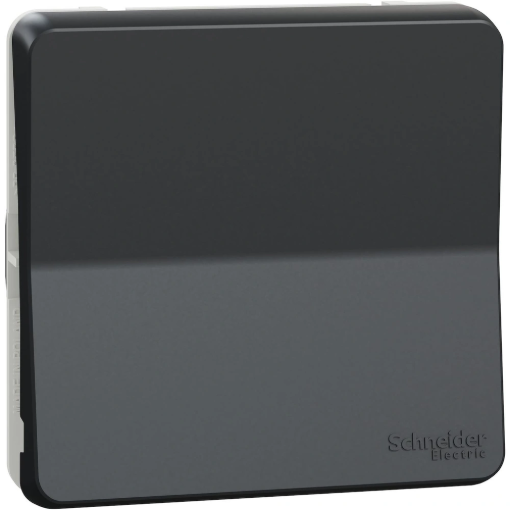 Image de Bouton poussoir - gris - MUREVA -  L'unité