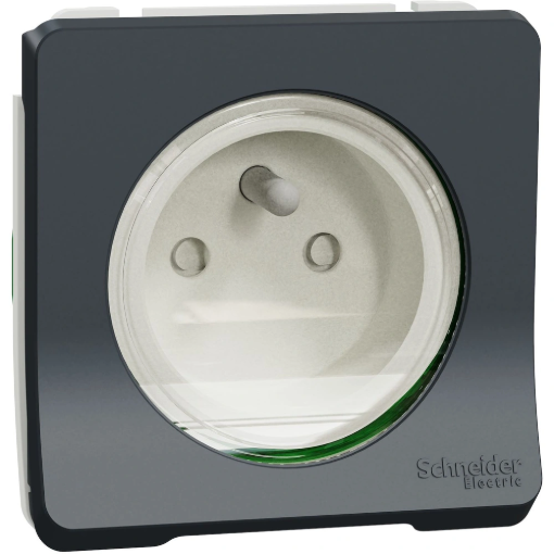 Image de Prise courant 2P + T 16A IP55 - gris - MUREVA -  L'unité
