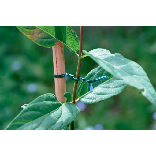 Image de LIEN Plastique ARME -  bobine de 25 m vert - L'unité