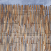 Image de Canisse en roseaux ronds 2m x 5m