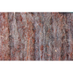 Image de CLAIE en Branche de BRUYERE JP - Epaiss. 5/6 cm 7/8kg/m2 - 1m X 3m