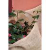 Image de Protection d'hivernage Toile Jute 200g/m2 - 1m00 x 10m - Unité