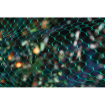Image de Filet Anti-Oiseau Vert - 5m x 5 m