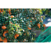 Image de Filet Anti-Oiseau Vert - 5m x 5 m